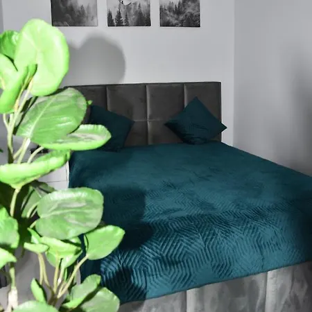Apartament B13 Park