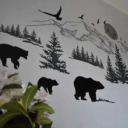 B13 Park Apartament *